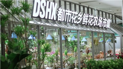 【都市花鄉(xiāng)】植耕長沙22年，讓人們的生活更加美好